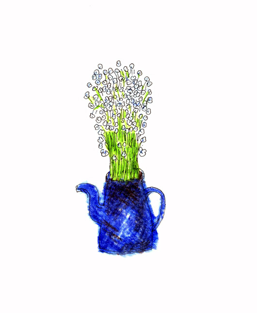 �u�؂̉ԁv�̉�<��