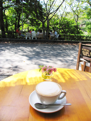 �㌎�̃J�v�`�[�m