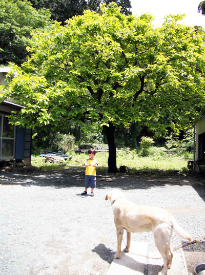 �Z���̊`�̖�